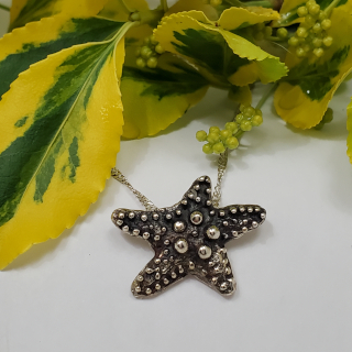 Crystal Sea Starfish
